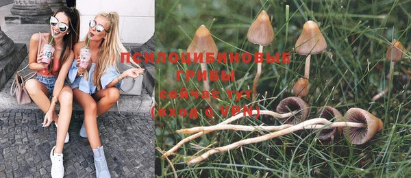 а пвп мука Алзамай
