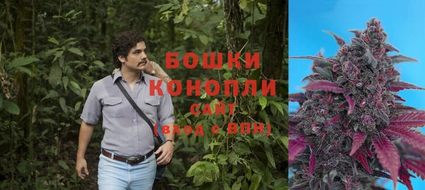 а пвп мука Алзамай